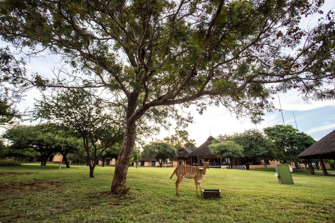 Lapeng Guest Lodge Бургерсфорт Екстер'єр фото